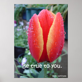 Póster Sé Fiel A Tu Poster Del Jardín Natural De Tulipane