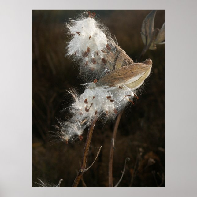 Póster Se Fue Con El Viento (Frente)