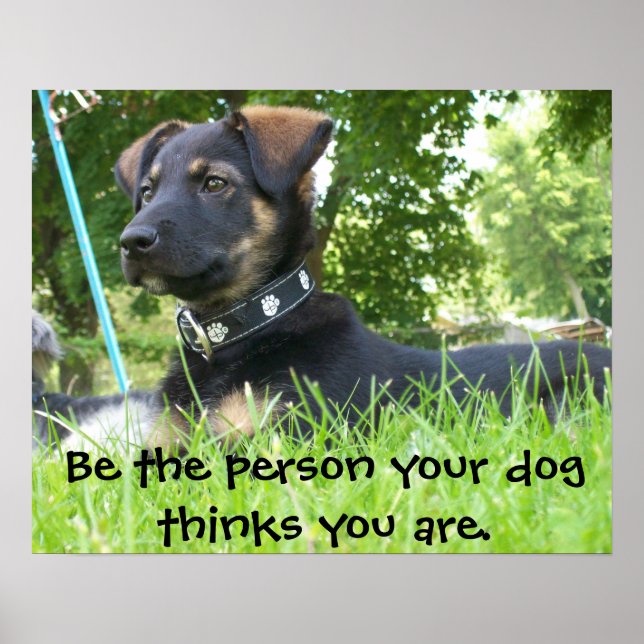 Póster Sé la persona que tu perro cree que eres, Poster (Frente)