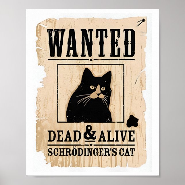 Póster Se Quería Un Poster De Gatos De Schrodinger Vivo O (Frente)