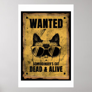 Póster Se Quiere Un Poster De Gatos Muerto O Vivo