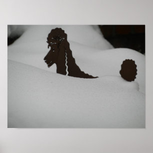 Póster ¿¿Se siente enterrado?? Poodle en la nieve