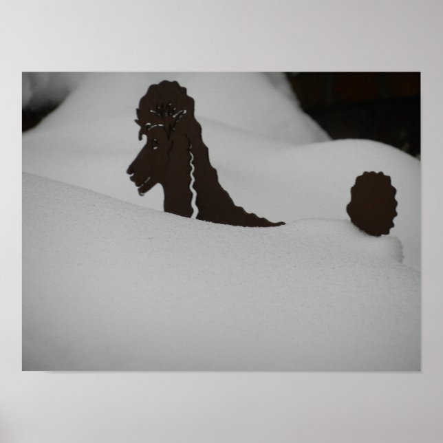 Póster ¿¿Se siente enterrado?? Poodle en la nieve (Frente)