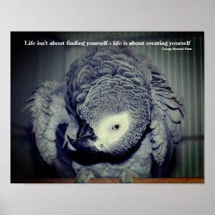 Póster Sé Tú Mismo Lindo Loro Frase Inspiradora