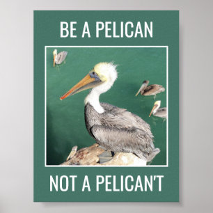 Póster Sé un pelícano, no un pelícano Poster motivacional