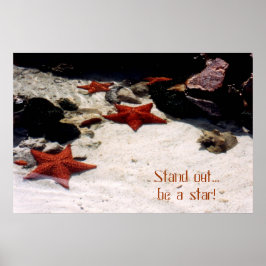 Póster Sé una estrella de tdgallery