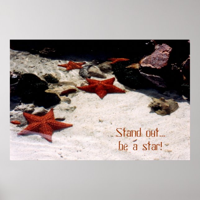 Póster Sé una estrella de tdgallery (Frente)