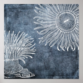 Póster Sea Anemone Watercolor Twilight Ocean Blue White
