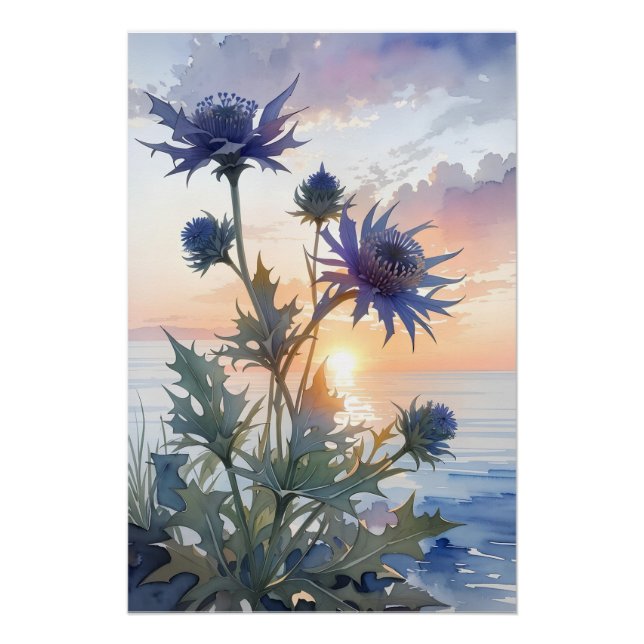 Póster Sea Holly (Anverso)