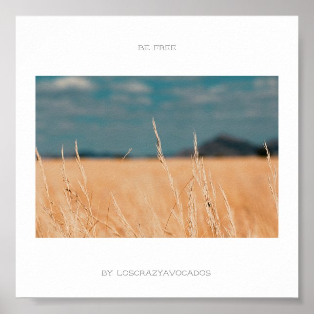 Póster Sea libre Savannah Golden Grass Africa Poster (Frente)