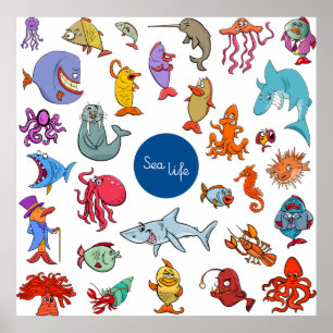 Póster Sea Life Characters
