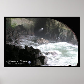 PÓSTER SEA LION CAVES