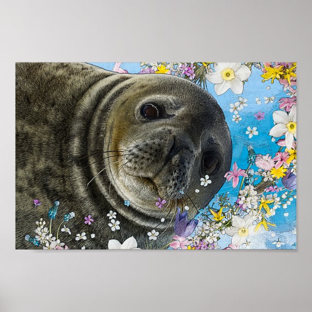 Póster Sea Lion Swimming in Flowers (Frente)