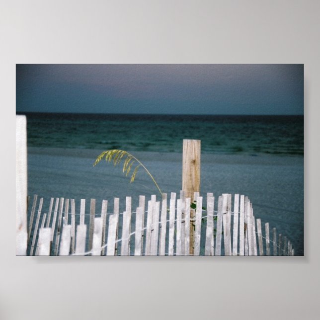 Póster sea oat (Frente)