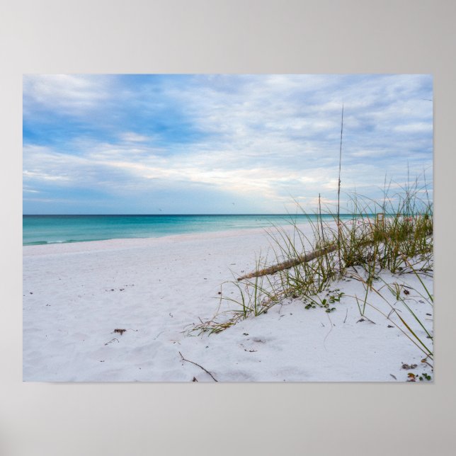 Póster Sea Oats And White Sand Beach Morning Poster (Frente)