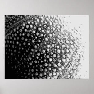 PÓSTER SEA-SHELL 4