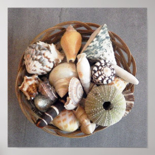 Póster Sea Shells in a Basket