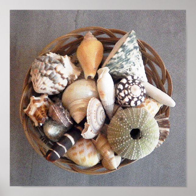 Póster Sea Shells in a Basket (Frente)