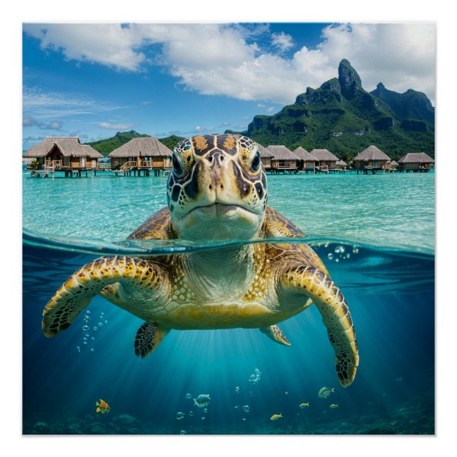 Póster Sea Turtle in Tropical Paradise (Anverso)