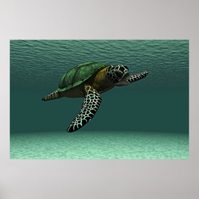 Póster Sea turtle poster (Frente)
