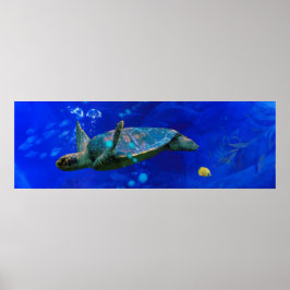 PÓSTER SEA TURTLE WIND ON THE WATER