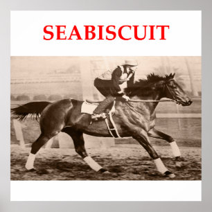 Póster seabiscuit