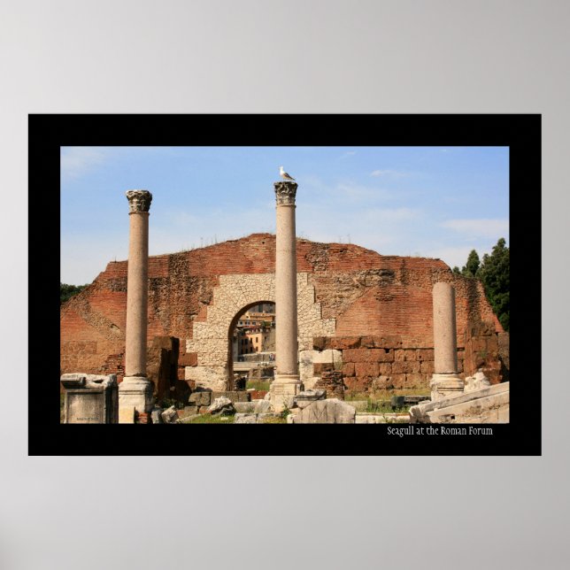 Póster Seagull at the Forum Poster (Frente)