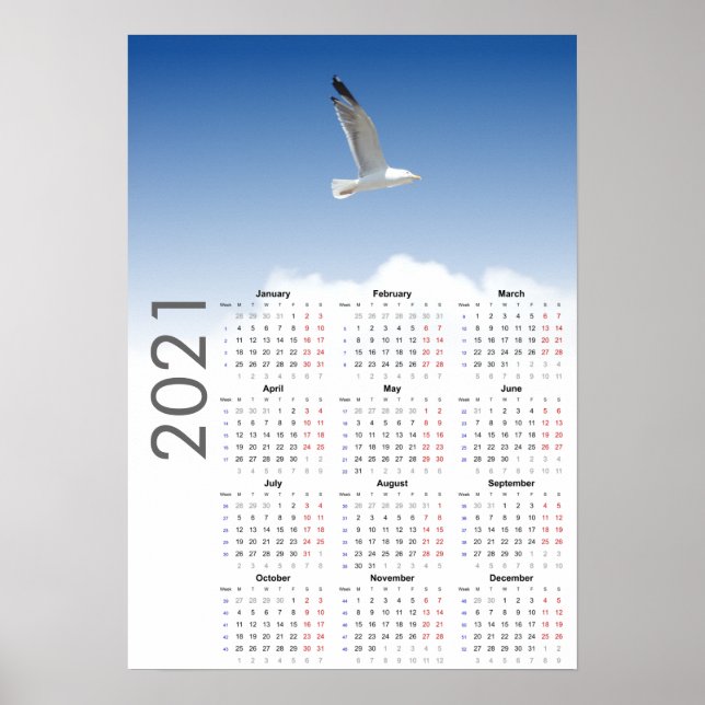 Póster Seagull Calendar 2021 Poster - Lunes primero (Frente)