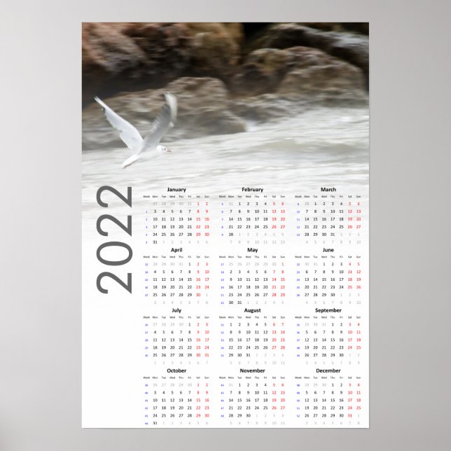 Póster Seagull Calendar 2022 Poster - Lunes primero (Frente)