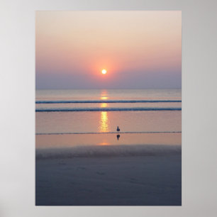 Póster Seagull Daytona Beach FL Ocean Sunrise Poster