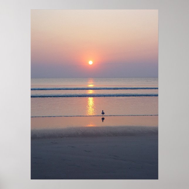 Póster Seagull Daytona Beach FL Ocean Sunrise Poster (Frente)