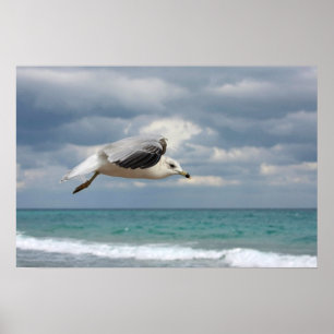 Póster Seagull Flight
