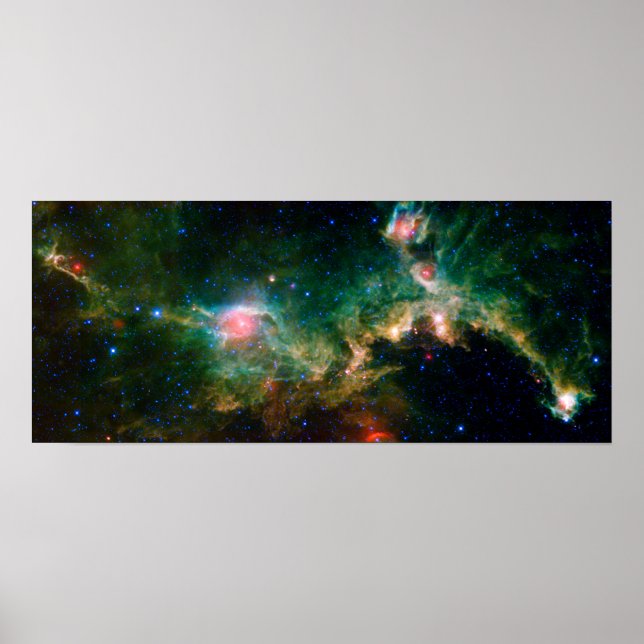 Póster Seagull Nebula Espacio de la NASA (Frente)