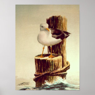 Póster SEAGULL & PILINGS 2 de SHARON SHARPE