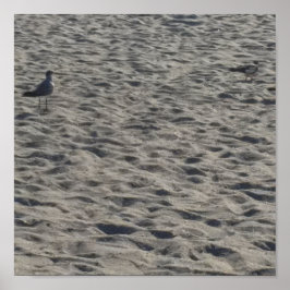 Póster Seagull Poster