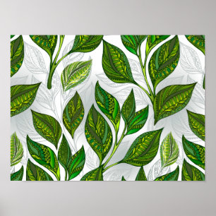Póster Seamless Pattern with Green Tea Leaves