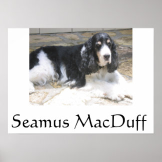 Póster Seamus MacDuff