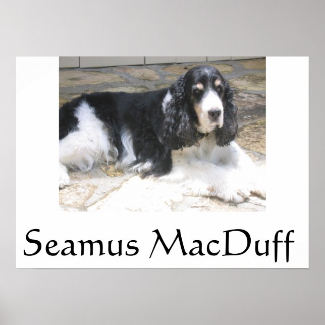 Póster Seamus MacDuff (Frente)