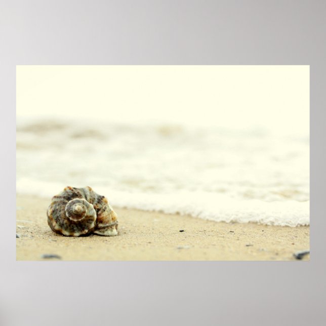 Póster Seashell Alone On Beach (Frente)
