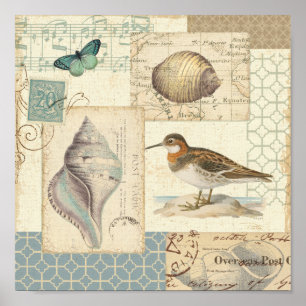 Póster Seashell Collage
