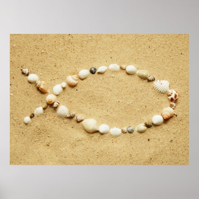 Póster Seashell Ichthys Poster (Frente)