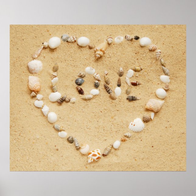 Póster Seashell Love Poster (Frente)