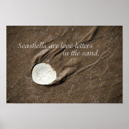 Póster Seashell Poster