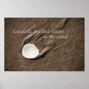 Póster Seashell Poster