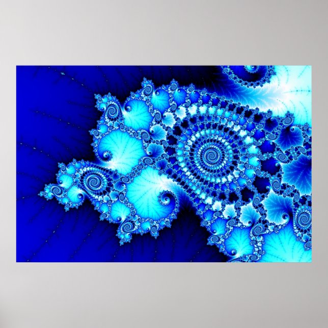 Póster Seashell Poster (Frente)