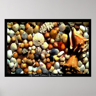 Póster Seashell_ Poster_by Elenne Boothe