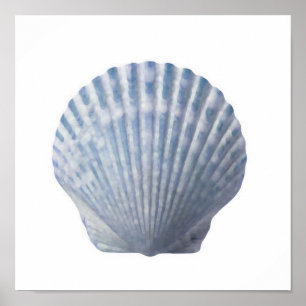 Póster Seashell Print
