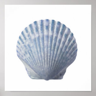 Póster Seashell Print