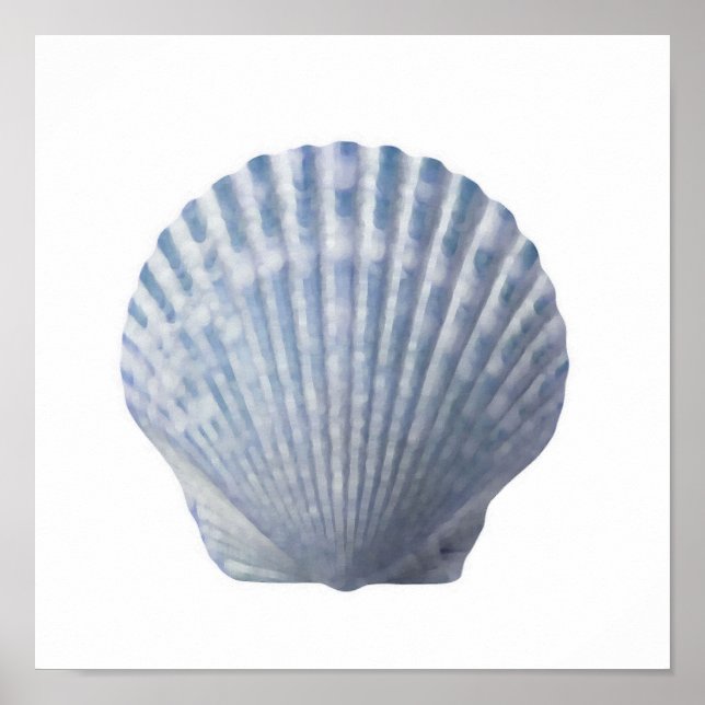 Póster Seashell Print (Frente)