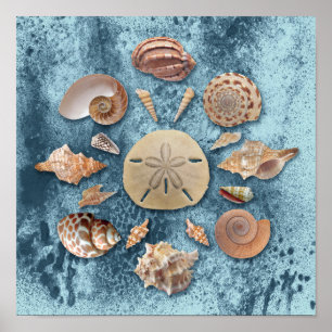 Póster Seashells Collection Mandala